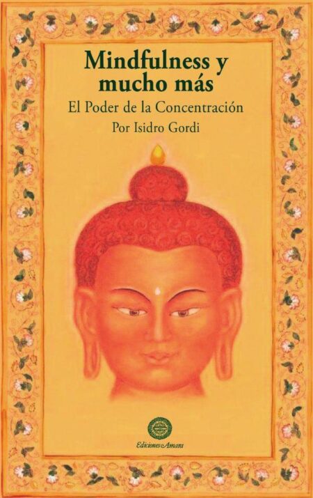 Mindfulness y mucho más:El poder de la concentración