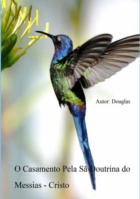 O Casamento Pela Sã Doutrina Do Messias - Cristo:Santo Senhor Deus Yehoshua