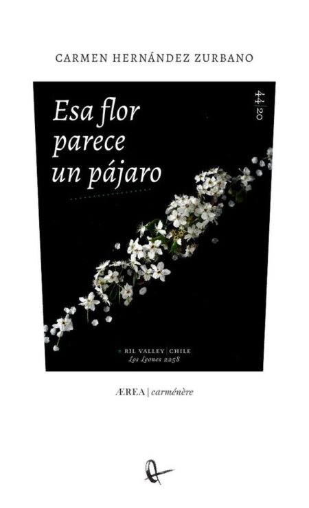 Esa flor parece un pájaro