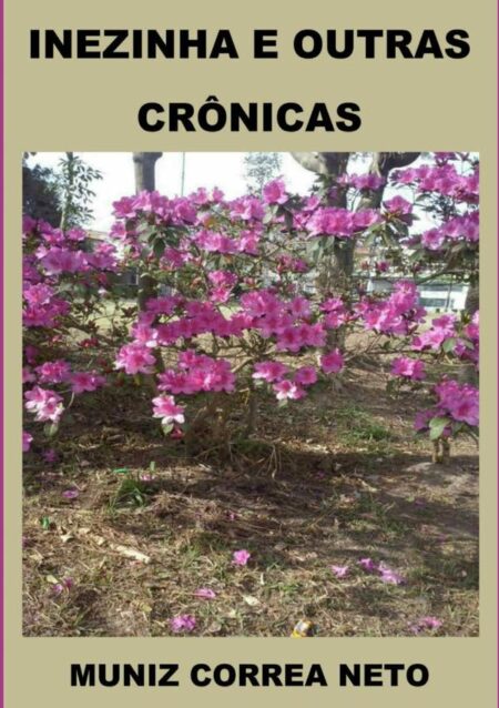 Inezinha E Outras Crônicas