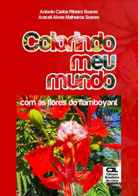 Colorindo Meu Mundo:com as flores do flamboyant