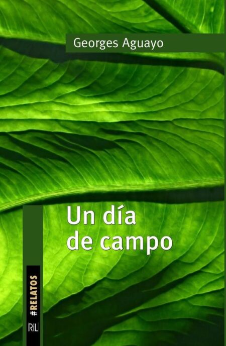 Un día de campo