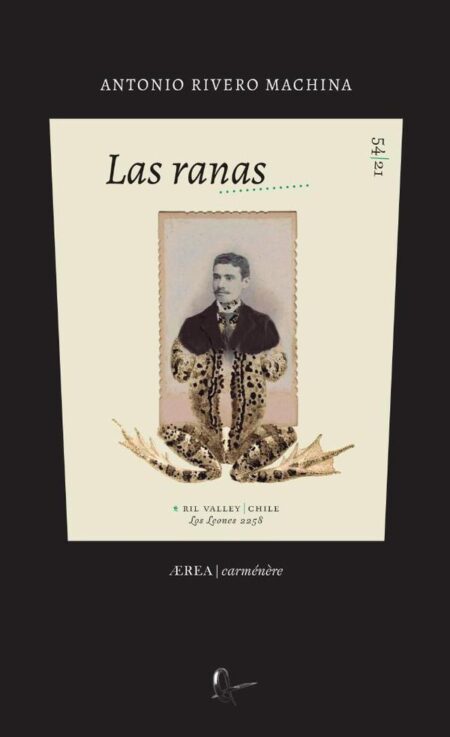 Las ranas