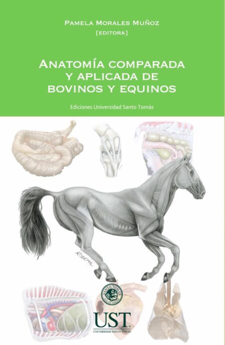 Anatomía comparada y aplicada de bovinos y equinos