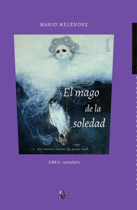 El mago de la soledad