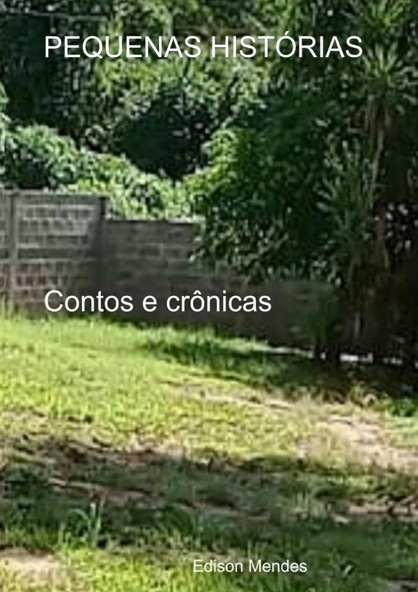 Pequenas Histórias:Contos e crônicas
