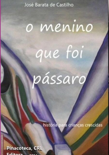 O Menino Que Foi Pássaro:História para Crianças Crescidas