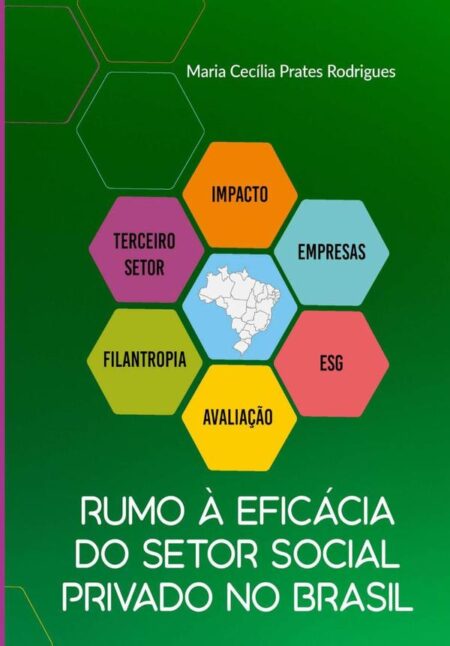 Rumo À Eficácia Do Setor Social Privado No Brasil