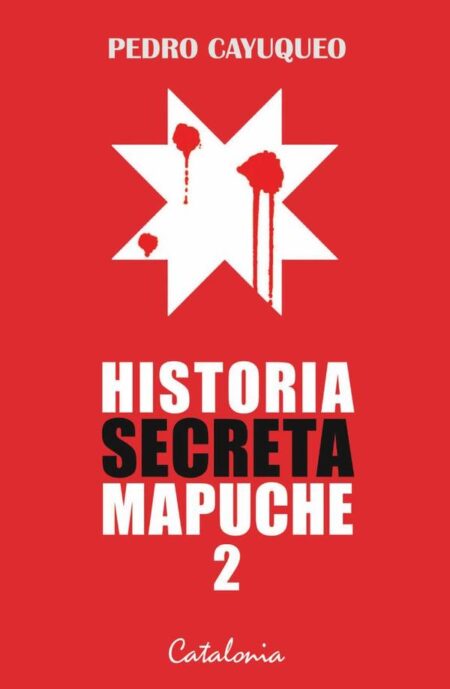 Historia secreta mapuche 2