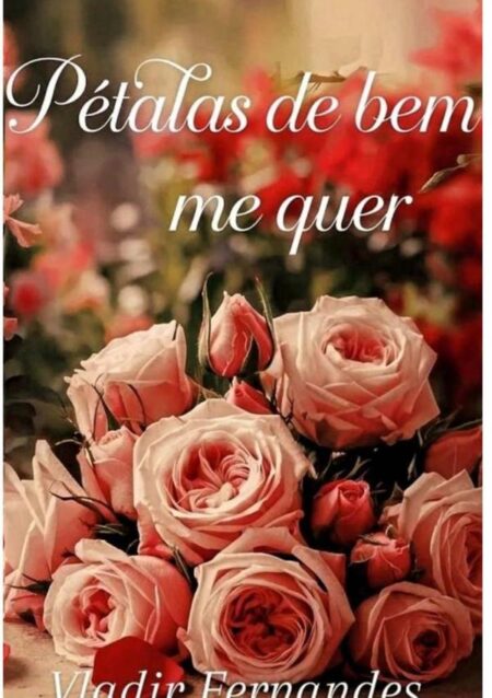 Pétalas De Bem-me-quer