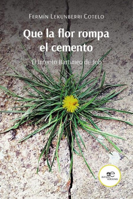 Que la flor rompa el cemento:El intento Bartimeo de Job