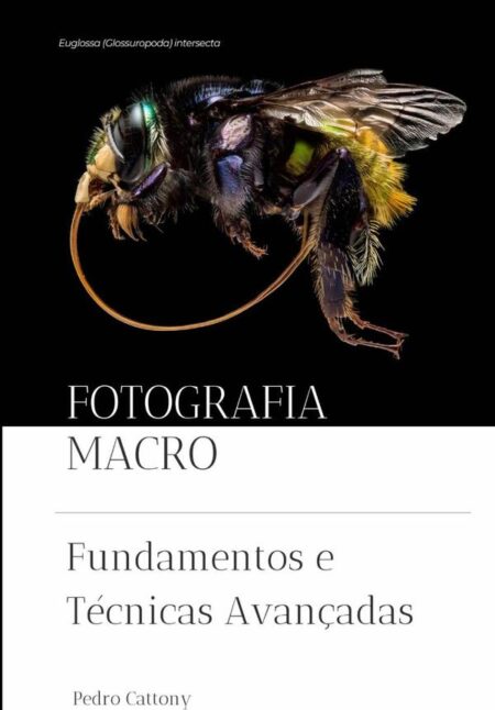 Fotografia Macro:Fundamentos e Técnicas Avançadas