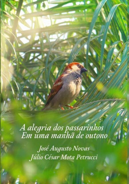 A Alegria Dos Passarinhos Em Uma Manha~ De Outono:Poemas, desenhos, fotografias e partituras