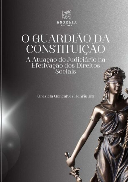 O Guardião Da Constituição::a atuação do judiciário na efetivação dos direitos sociais