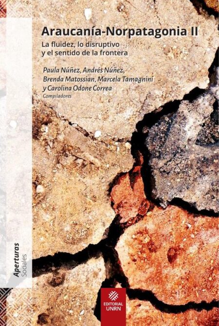 Araucanía-Norpatagonia II:La fluidez, lo disruptivo y el sentido de la frontera