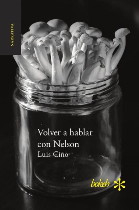 Volver a hablar con Nelson