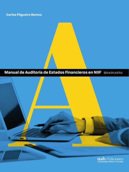 Manual de Auditoría de Estados Financieros en NIIF:Aplicación práctica