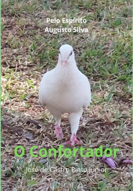 O Confortador