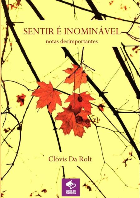 Sentir É Inominável:Notas desimportantes