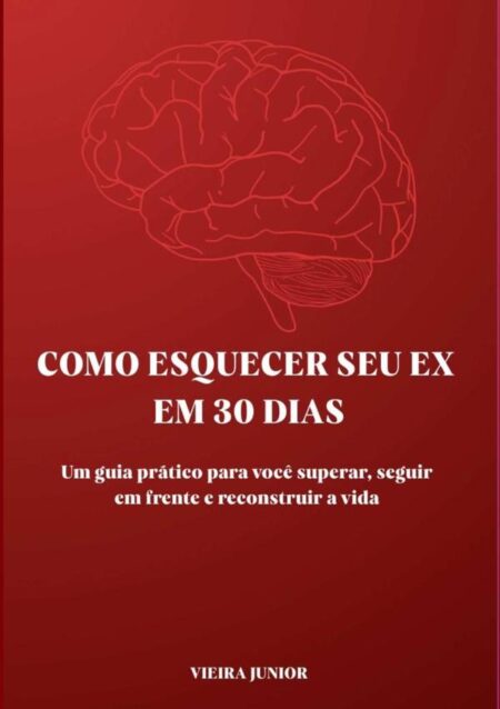 Como Esquecer Seu Ex Em 30 Dias:Um guia prático para você superar, seguir em frente e reconstruir a vida