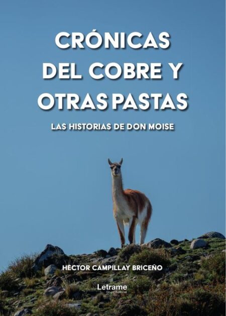 Crónicas del cobre y otras pastas:Las historias de Don Moise