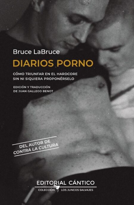 Diarios Porno:Cómo triunfar en el hardcore sin ni siquiera proponérselo