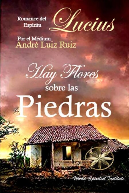 Hay Flores sobre las Piedras