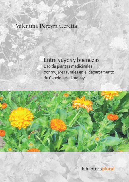Entre yuyos y buenezas:Uso de plantas medicinales por mujeres rurales en el departamento de Canelones, Uruguay