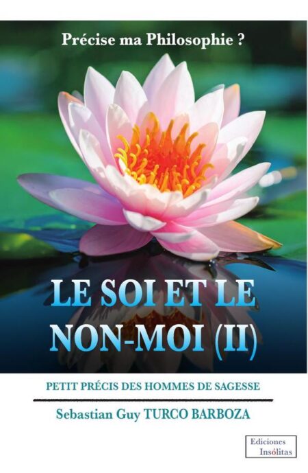 Le Soi et le Non-Moi 2