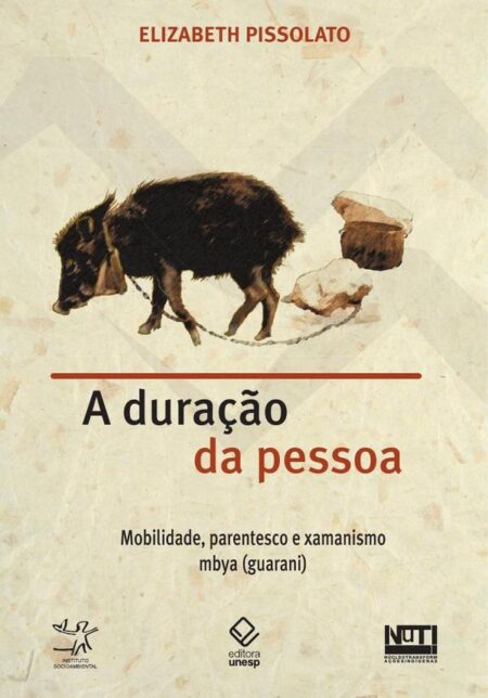 A duração da pessoa:Mobilidade, parentesco e xamanismo mbya (guarani)