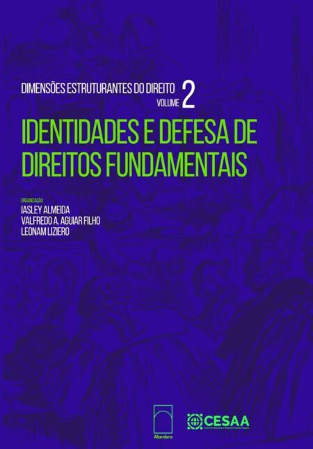 Dimensões Estruturantes Do Direito, Vol. 2:Identidades e defesa de direitos fundamentais