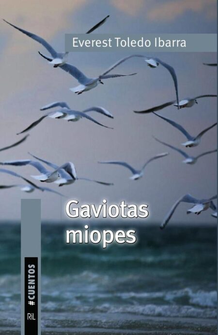 Gaviotas miopes