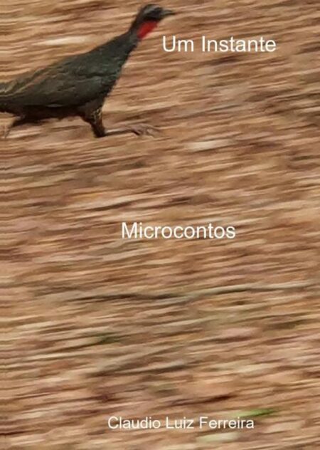 Um Instante:Microcontos