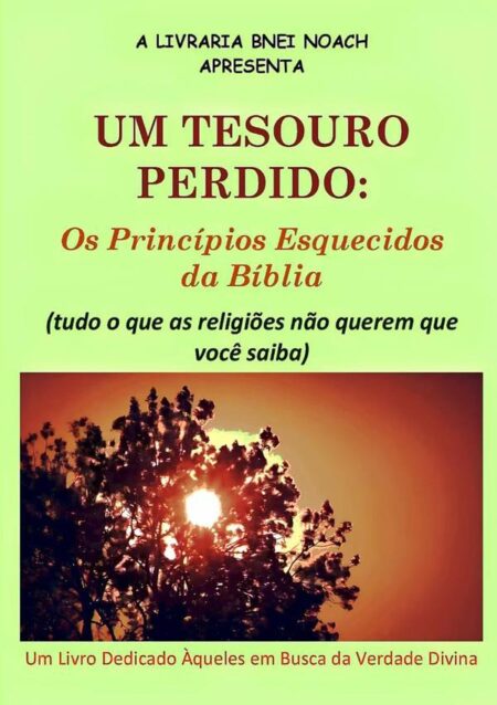 Um Tesouro Perdido: Os Princípios Esquecidos Da Bíblia (tudo O Que As Religiões Não Querem Que Você Saiba):um livro dedicado àqueles em busca da verdade divina