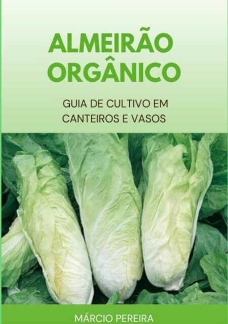 Almeirão Orgânico:Guia de Cultivo em Canteiros e Vasos