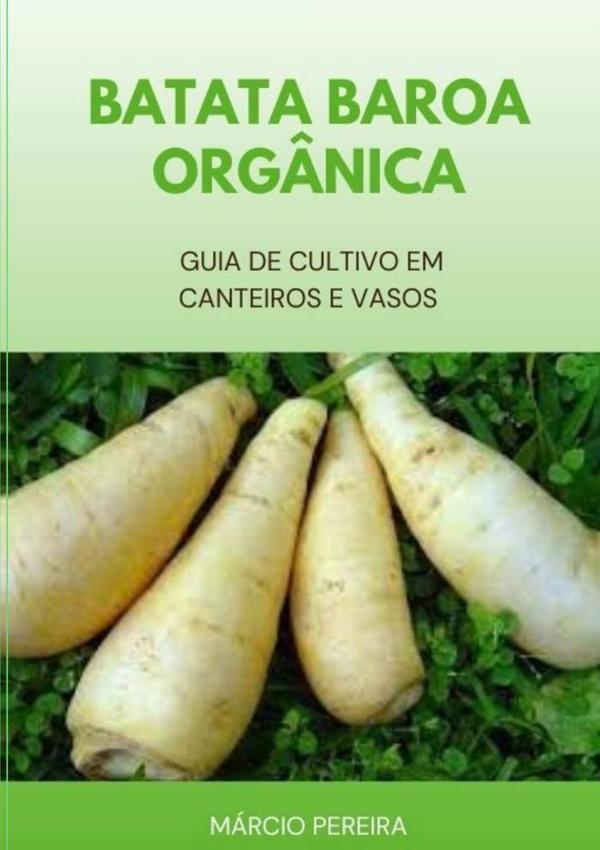 Batata Baroa Orgânica:Guia de Cultivo em Canteiros e Vasos