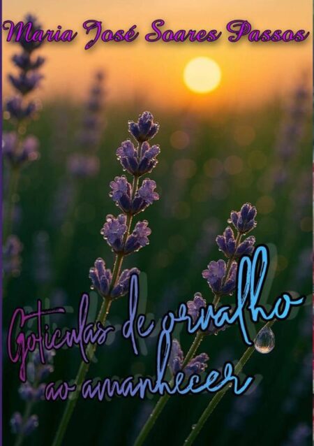 Gotículas De Orvalho Ao Amanhecer