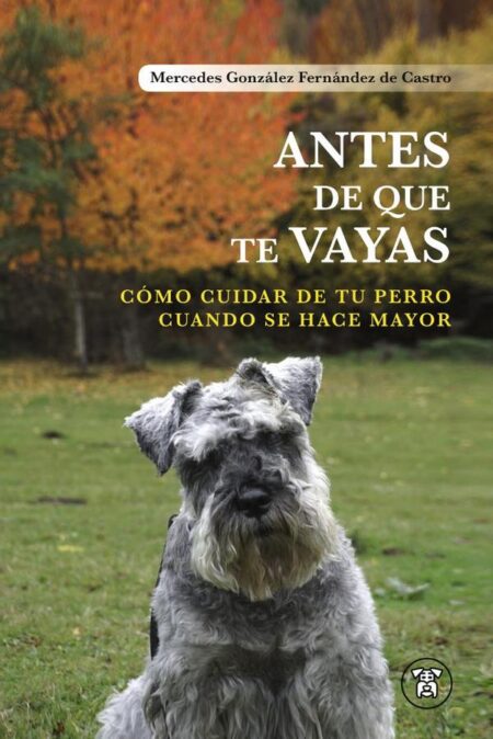 Antes de que te Vayas: Cómo Cuidar de tu perro Cuando se hace mayor