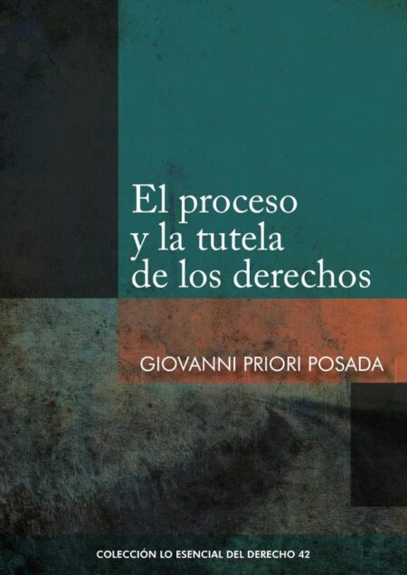 El proceso y la tutela de los derechos