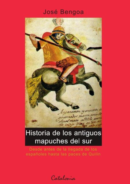Historia de los Antiguos Mapuches del Sur