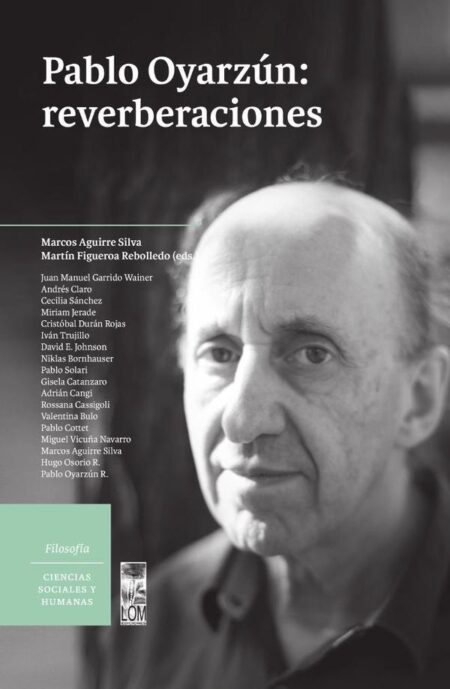 Pablo Oyarzun: reverberaciones