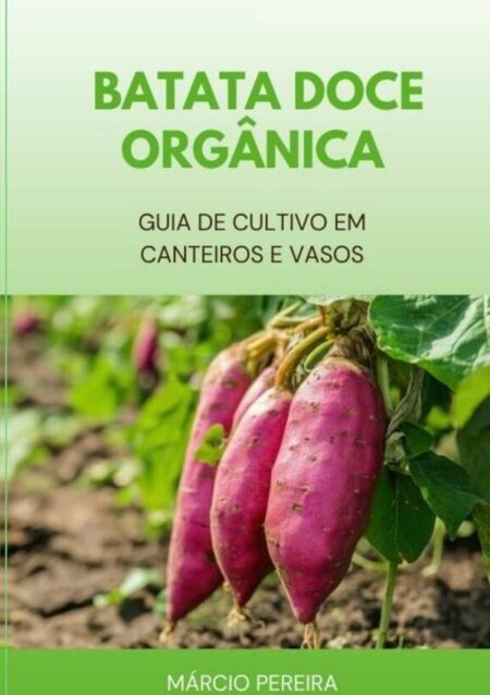 Batata Doce Orgânica:Guia de Cultivo em Canteiros e Vasos