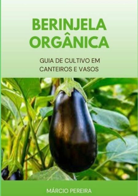 Berinjela Orgânica:Guia de Cultivo em Canteiros e Vasos