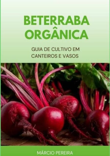 Beterraba Orgânica:Guia de Cultivo em Canteiros e Vasos