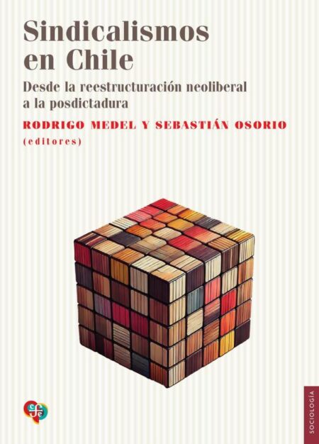 Sindicalismos en Chile:Desde la reestructuración neoliberal a la posdictadura