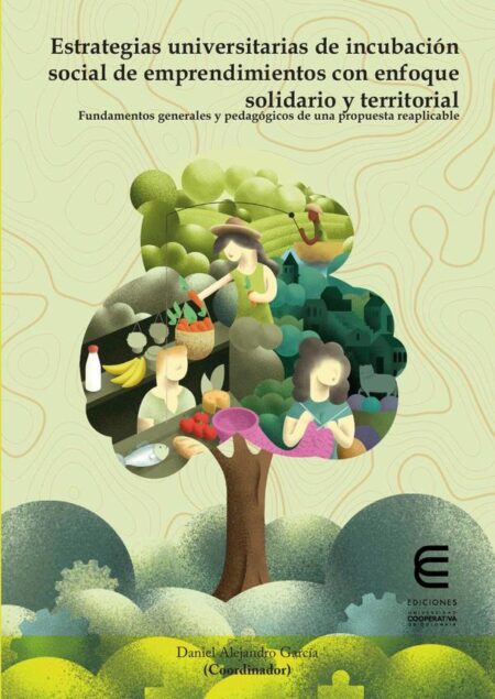 Estrategias universitarias de incubación social de emprendimientos con enfoque solidario y territorial:Fundamentos generales y pedagógicos de una propuesta reaplicable