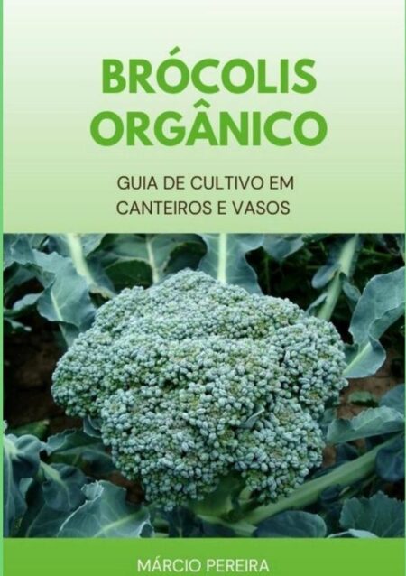 Brócolis Orgânico:Guia de Cultivo em Canteiros e Vasos