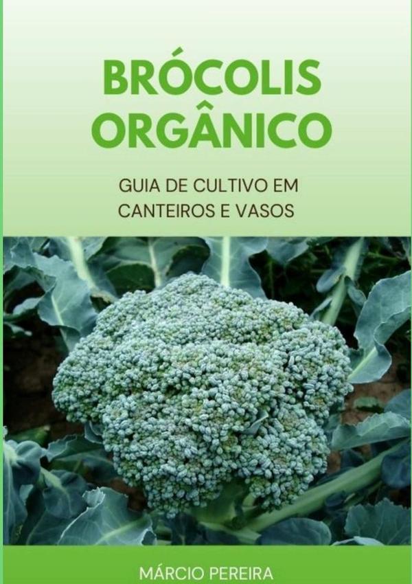 Brócolis Orgânico:Guia de Cultivo em Canteiros e Vasos
