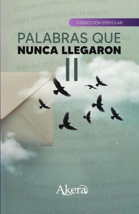 Palabras que nunca llegaron II
