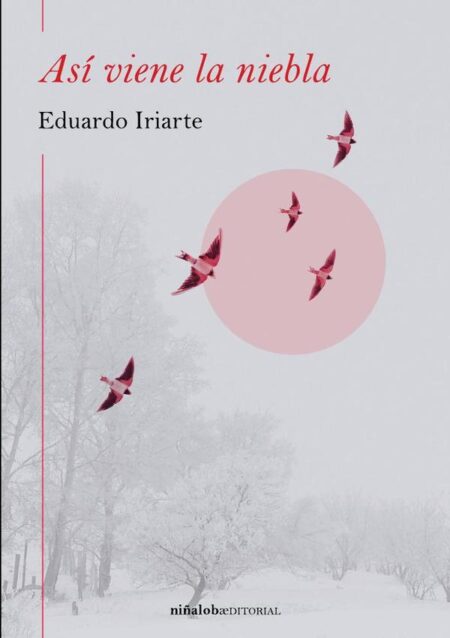 Así viene la niebla